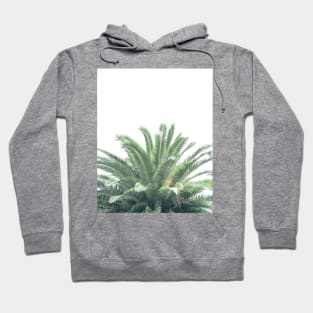 Large Palm Tree Photo Hoodie